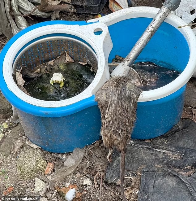 Қара гейлермен анальды секс